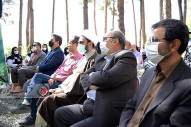 روزجهانی چوب 