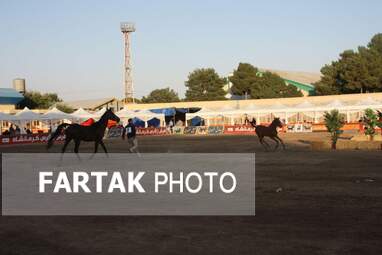  چهارمین جشنواره ملی زیبایی‌های اسب (تاق‌بستان)  جشنواره اسب اصیل کُرد
