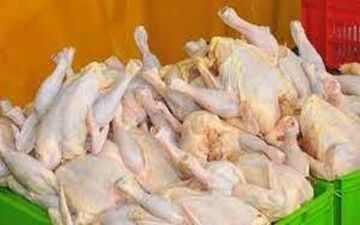 نخستین گرانی رسمی در سال ۱۴۰۰/ قیمت مصوب مرغ ۲۴ هزار و ۹۰۰ تومان شد
