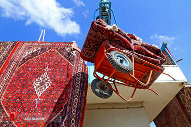 قالیشویی در همدان + تصاویر