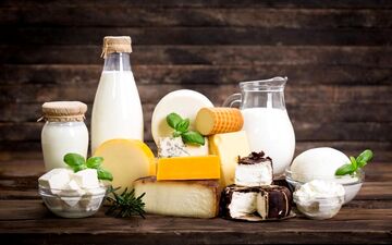 شیر، ماست یا کشک؟ کدام را بخوریم بهتر است؟