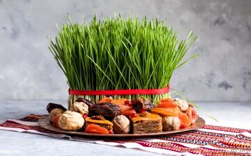 معجزه سبزه عید! آموزش کاشت سبزه با رشد 3 روزه