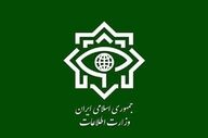 ضربه اطلاعاتی در خراسان جنوبی؛ ۲۰ هسته تروریستی منهدم شد
