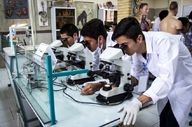 
نتایج نهایی دکتری رشته‌های داروسازی اعلام شد
