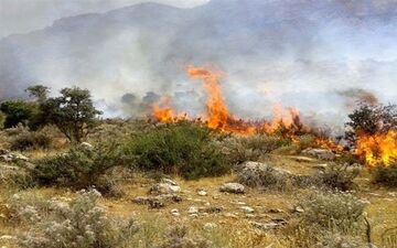 هشدار آتش‌سوزی در جنگل‌ها و مراتع مازندران 