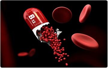 
مواد غذایی حاوی B12 کدامند؟
