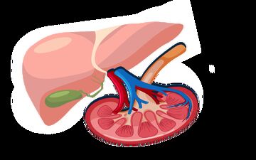بیماران دیابتی به شدت مراقب سلامت کلیه هایشان باشند!