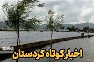 پیگیری طرح‌های تولیدی کشاورزی در کردستان؛ شیلات آلوت، اعتبارات بانه و کود کامیاران