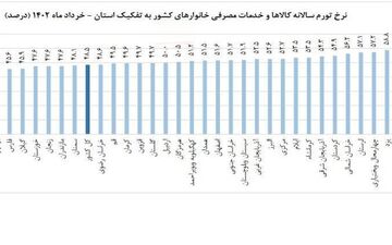 تورم در ۲۳ استان، بالاتر از متوسط کشوری / یزد گران‌ترین استان