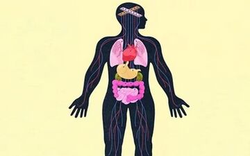 تاثیرات ویرانگر افسردگی و اضطراب بر بدن 