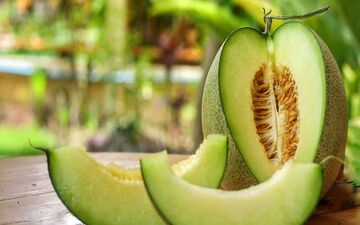 پاسخ به سوالات رایج درباره مصرف طالبی و تأثیر آن بر کنترل وزن