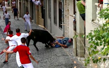 لحظه حمله گاو به تماشاگر جوان+فیلم