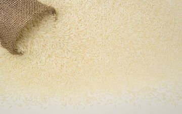 ریزش قیمت برنج در بازار؛ نرخ برنج ایرانی و هندی اعلام شد