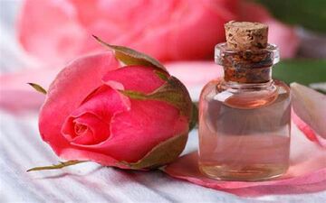 چرا گلاب باید بخشی از روتین شبانه پوست شما باشد؟