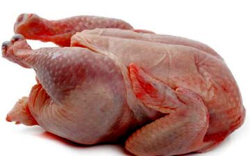 قیمت مرغ باید 31500 شود
