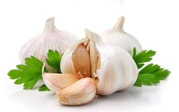  جایگزین های طبیعی برای پنی سیلین