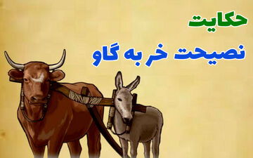 حکایت نصحیت خر بیچاره به گاو که کار دست خودش داد
