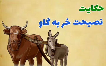 حکایت نصحیت خر بیچاره به گاو که کار دست خودش داد
