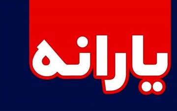 
یارانه جدید چگونه پرداخت خواهد شد؟
