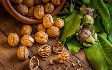 از این خاصیت گردو خبر دارید؟
