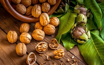 میان وعده ها گردو بخورید!