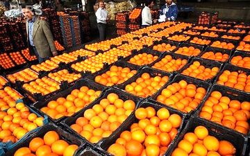 
آغاز توزیع میوه شب عید از امروز
