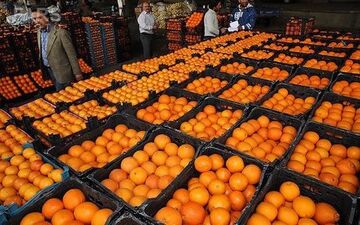 
آغاز توزیع میوه شب عید از امروز
