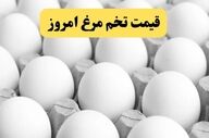 قیمت تخم‌مرغ در ایران به نرخ دبی رسید؛ بازار در شوک گرانی