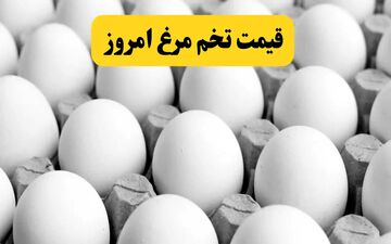 قیمت تخم‌مرغ در ایران به نرخ دبی رسید؛ بازار در شوک گرانی
