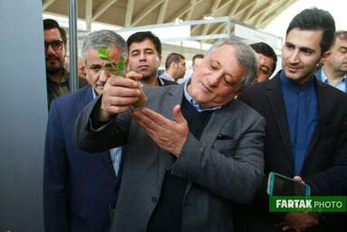 مجتبی یزدانی- محسن هاشمی- محمدرئوف قادری