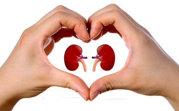 وقتی کلیه ها سنگ ساز می شوند