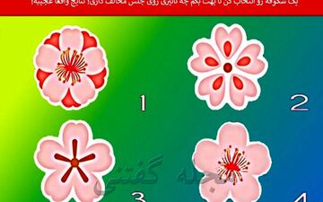 تست شخصیت شناسی : چگونه با انتخاب یک شکوفه، تاثیر خود بر جنس مخالف خود را درک کنیم؟ 