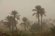 قصرشیرین رکورددار آلودگی هوا با ۹۱ روز ناسالم در سال گذشته/۱۲۳ واحد صنعتی زیر ذره‌بین محیط زیست کرمانشاه




