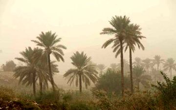 قصرشیرین رکورددار آلودگی هوا با ۹۱ روز ناسالم در سال گذشته/۱۲۳ واحد صنعتی زیر ذره‌بین محیط زیست کرمانشاه



