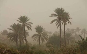 قصرشیرین رکورددار آلودگی هوا با ۹۱ روز ناسالم در سال گذشته/۱۲۳ واحد صنعتی زیر ذره‌بین محیط زیست کرمانشاه



