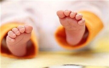  جزئیات جدید از عرضه شیرخشک