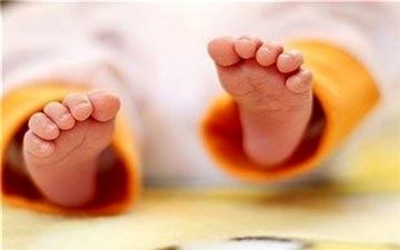  جزئیات جدید از عرضه شیرخشک