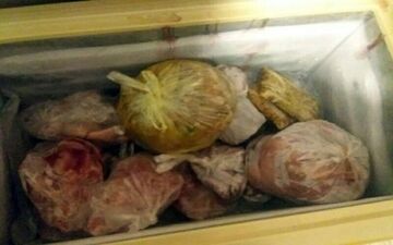 معدوم سازی بیش از 150 کیلوگرم گوشت گوساله و مرغ غیربهداشتی در شهرستان کرمانشاه