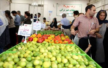
قیمت انواع میوه در نیمه پاییز
