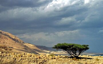 سیل در اردن جان دانش‌آموزان را گرفت