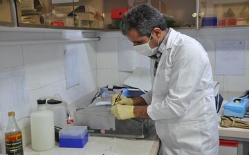 تشخیص بیماری های نوپدید و بازپدید که جوندگان و حیوانات حیات وحش عامل آن هستند