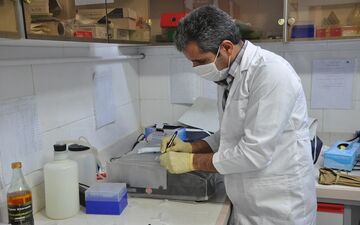 تشخیص بیماری های نوپدید و بازپدید که جوندگان و حیوانات حیات وحش عامل آن هستند