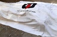 سوئیچ مرگ در دست کودک؛ پژوی دختر ۱۱ ساله قاتل پاکبان مهابادی شد
