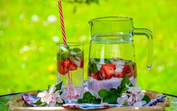 چگونه به نوشیدن آب علاقه مند شویم؟