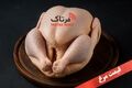 آخرین قیمت مرغ و تخم‌مرغ در بازار؛ کدام محصولات گران‌تر هستند؟
