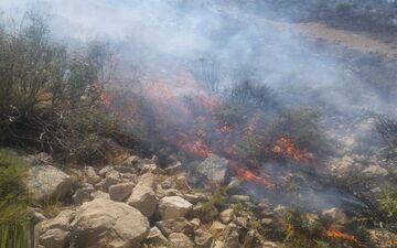 بی‌توجهی گردشگران حادثه آفرید/۳۰ هکتار اراضی پلنگ دره قم طعمه حریق شد