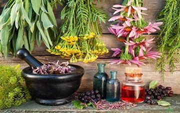 آشنایی با بایدها و نبایدهای طب سنتی در فصل زمستان 