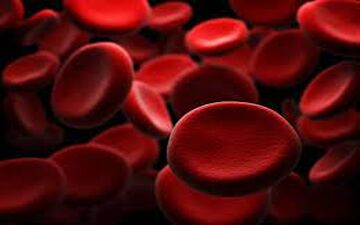 درمان کم خونی با طب سنتی!