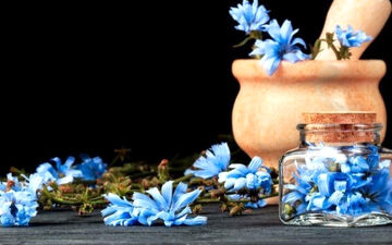 اشکال دارویی کاسنی
