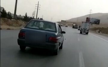 حمل گوساله با پراید! + فیلم 